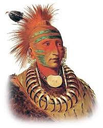 Native Indian Tribes Native American Tribes Native American Kachina Dolls North American Indians