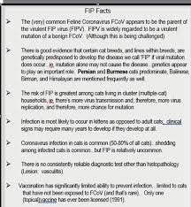 Feline Infectious Peritonitis Fip More Complex Than We Thought Wsava 2015 Congress Vin