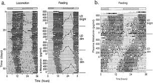 Image result for Dark Gray 1983 Caloric