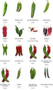 This pepper is usually small (around 2 inches) and green in color. 450 Food Recipe For My Husband My Love Ideas Food Cooking Recipes Recipes