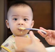 Best Baby Cookbooks and Recipe Books Reviewed in 2024