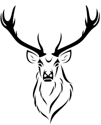 18,887 antlers clip art images on gograph. Deer Simple Picture For Coloring Topcoloringpages Net