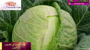فوائد الكرنب فى تخسيس الوزن فوائد الكرنب Cabbage Vegetables