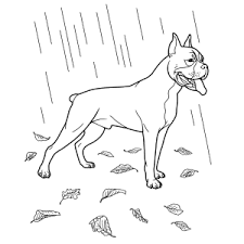 Deel kleurplaat pokémon met vrienden! Kleurplaat Van Een Hond Printen Leuk Voor Kids