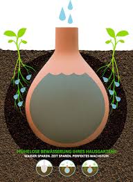Gartenbewasserung Mit Ollas Gartenbewasserung Bewasserung Garten Pflanzen Bewasserung