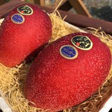 We inspire and unite people through our passion for style and culture. 5 Most Expensive Fruits That Are Made In Japan All About Japan