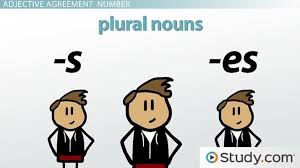 Say yay! is a song performed by spanish singer barei and written by herself, rubén villanueva and víctor púa vivó. Adjective Agreement In Spanish Grammar Video Lesson Transcript Study Com