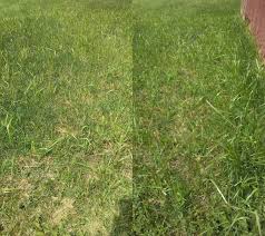 Power struggle (original mix) landscapers. Scotts Turf Builder Grass Seed Landscapers Mix Grass Seed Scotts