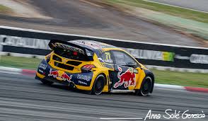 Image result for Papyrus 2014 Peugeot