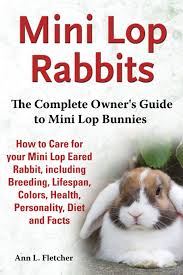 Mini Lop Rabbits The Complete Owner S Guide To Mini Lop Bunnies How To Care For Your Mini Lop Eared Rabbit Including Breeding Lifespan Colors Health Personality Diet And Facts Fletcher Ann L