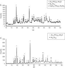 Effect Of Ca2 Additives On Morphology Composition And