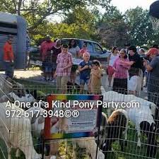 We do bring the zoo to you! Mobile Petting Zoo A One Of A Kind Petting Zoo Dallas Fort Worth