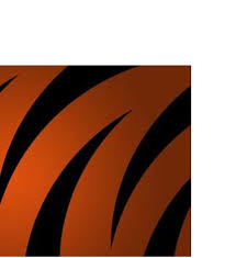 Jan 06, 2018 · all domestic cats, pedigreed or not, come in a variety of colors and patterns. Tiger Stripes Cincinnati Bengals Football Cincinnati Bengals Bengals Football