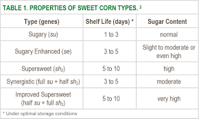 Selecting Sweet Corn Varieties Seminis