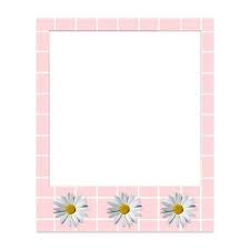 Ladies Designer Eyeglasses Polaroid Frame Polaroid Picture Frame Polaroid Frame Png