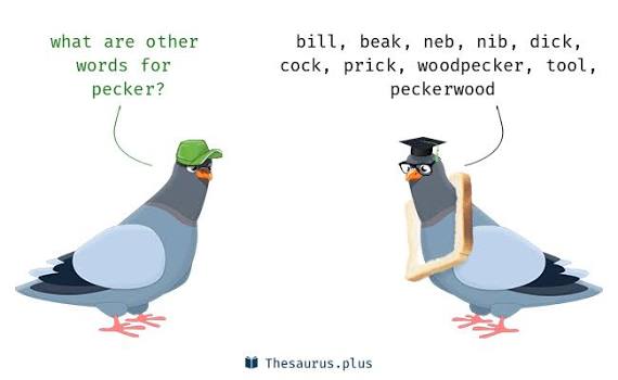 More 210 Pecker Synonyms. Similar words for Pecker.