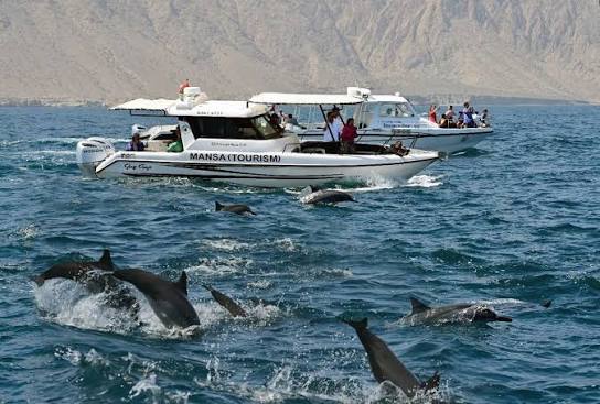 Oman Family Discovery: Safari Wilds & Marine Parks — photo 3