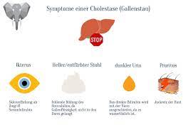 Correspondingly, wo ist die leber im körper bild? Wisephants On Twitter Die 4 Symptome Einer Cholestase 1 Ikterus 2 Heller Stuhl 3 Dunkler Urin 4 Pruritus