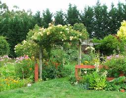 The climbing honeysuckle vine have beautifully ornate flowers in a wide range of colors. 19 Best Pergola Plants Climbing Plants For Pergolas Arbors Balcony Garden Web