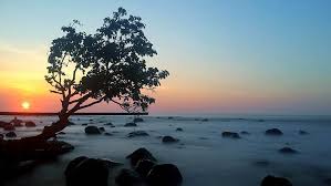 Lokasi tempat makan ini berada di pantai sigandu, kidanglor, klidang lor, kec. Pantai Celong Yang Indah Di Batang Jawa Tengah Jawa Tengah