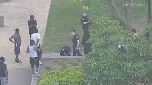 Jefferson square dog park is a popular dog park in san francisco. Police Video Shows Man Firing Gun At Busy Jefferson Square Park Whas11 Com