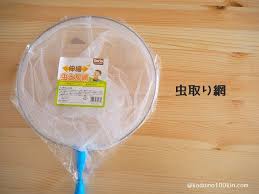 セリアで見つけた虫取り網と虫かご 子供の暮らしと100円均一 虫かご セリア 100 円