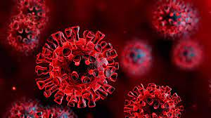 NeoCov, புதிய வகை கொரோனா வைரஸ் - வூகான் விஞ்ஞானிகள் எச்சரிக்கை! - wuhan  scientists warn of new coronavirus strain with high death - Samayam Tamil