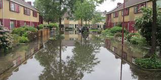 Vooral uit harkema, kootstertille en buitenpost komen veel meldingen binnen. B4novsysnhiy3m