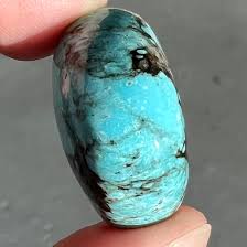 Image result for Turquoise 1972 Montgomery Ward