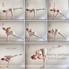 How T Yoga Asanas Vinyasa Yoga Yoga Help
