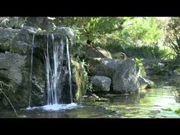 Deep Forest Spa Music Collection By Musical Spa Free Meditation Music Free Meditation Music Free Relaxing Music Relaxing Music