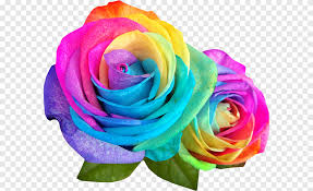 Hand drawn cartoon cute rainbow png element. Rainbow Flowers Png Images Pngegg