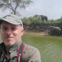 80+ "Oddi”" profiles