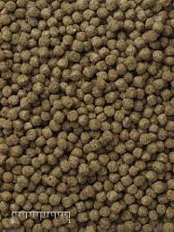What are good foods to feed koi? Mazuri Koi Pond Nuggets