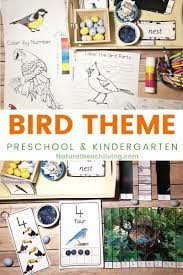 Once your baby becomes a big toddler and even bigger preschooler, though, reading can become something even more transformative. Kindergarten And Preschool Bird Theme Activities Unit Study Natural Beach Living
