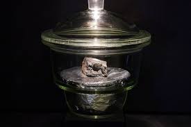 The text, which lucidly describes the geologic features of the planets in the solar system, is illustrated with breathtaking imagery. Rare Meteorite Could Uncover Secrets To Life On Earth