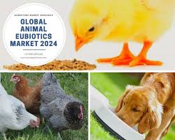 Latest Market Research Reports On Top Industries Aarkstore Com South America Animals South Africa Animals Animals