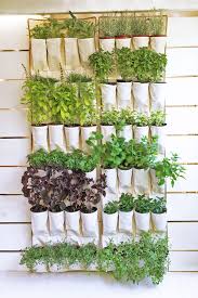 16 Best Diy Herb Garden Ideas You Ll Obsess Over In 2019 In 2020 Vertical Garden Diy Diy Herb Garden Apartment Herb Gardens