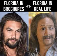 All Things Navarre Beach & Pensacola Beach Official