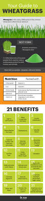 Wheatgrass Benefits The Superfood That Boosts Immunity Dr