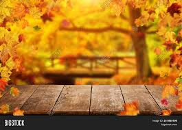 Maybe you would like to learn more about one of these? Autumn Background Image Photo Free Trial Bigstock
