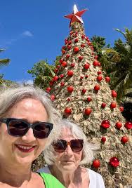 Hongdan(Davina) Wang