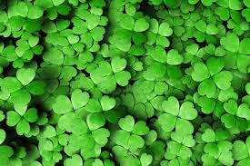 Melbourne free wallpapers for mobile phones. 30 St Patrick Day Wallpapers You Can Download Free