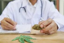 Finding Medical Marijuana Doctors in Maryland – Mary and Main