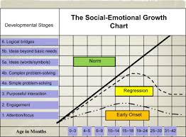 The Bayley Iii Social Emotional Scale Sciencedirect