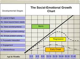 The Bayley Iii Social Emotional Scale Sciencedirect