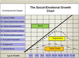 the bayley iii social emotional scale sciencedirect