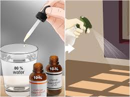 Image result for flea bites