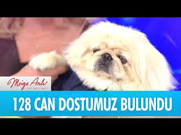 Patibuldular La 128 Kayip Dostumuz Bulundu Muge Anli Ile Tatli Sert 29 Mart 2018 Youtube