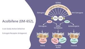 Image result for Selective Estrogen Receptor Modulator
